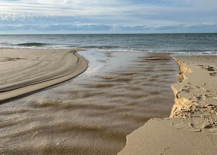 Maison Familiale- Bassin Arcachon - Au Calme *